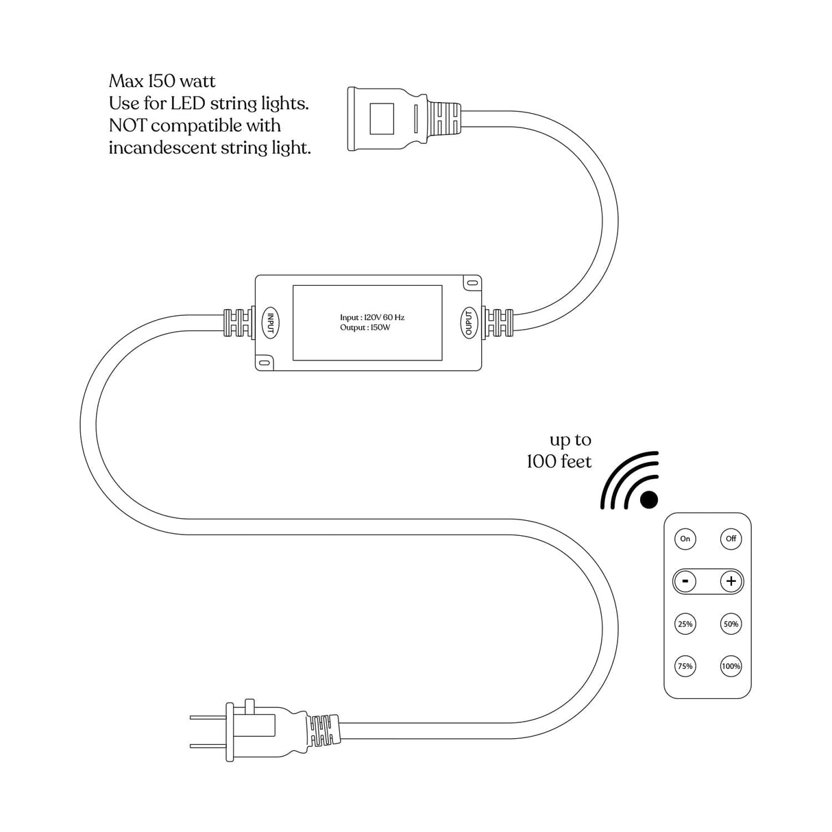 Pergola String Lights