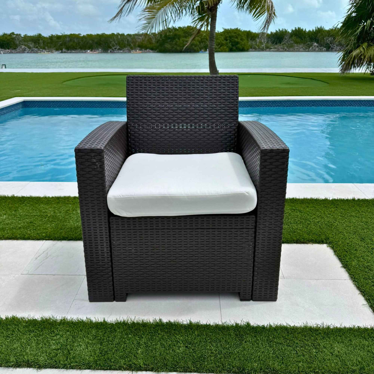 Plastique Lounge Chair w/cushion