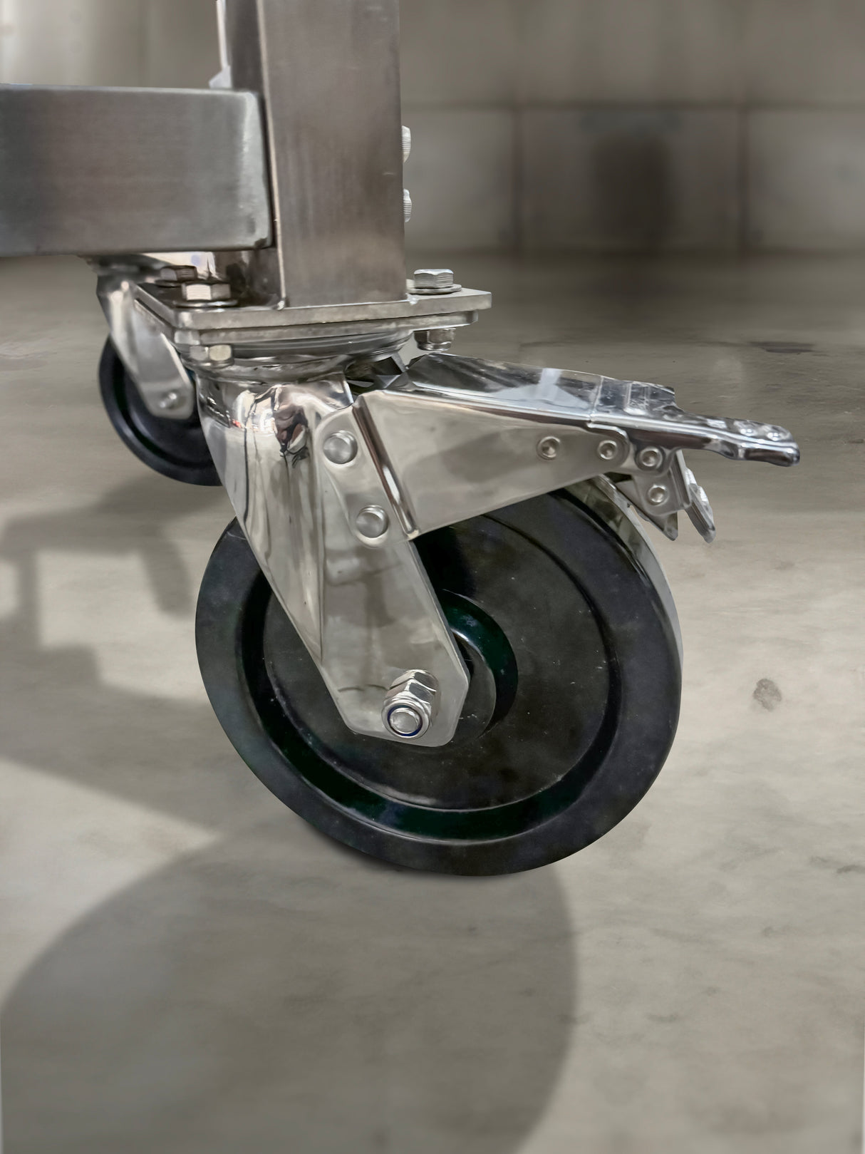 6" x 2" SS304 WHEELS