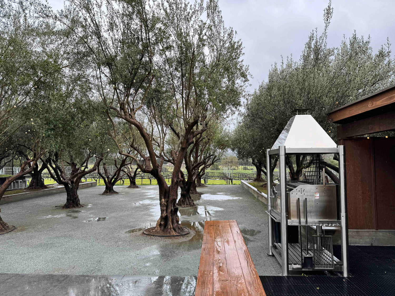 Tagwood BBQ Argentine Santa Maria Wood Fire & Charcoal Gaucho Grill all Stainless Steel | BBQ02SS OPEN FIRE COOKING - PRE-ORDER