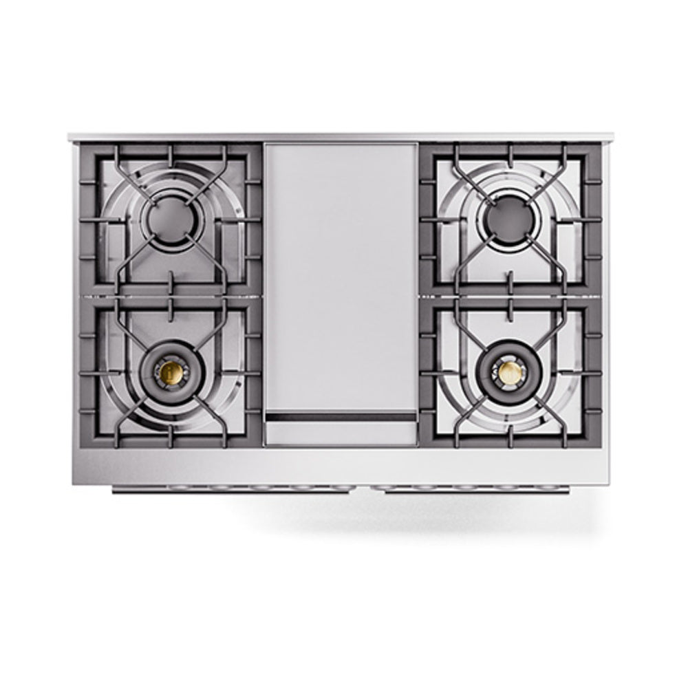 ILVE 40-inch Professional Plus II Natural Gas Dual Fuel Range with Solid Door Oven in Custom RAL (UPD40FQMPRA)
