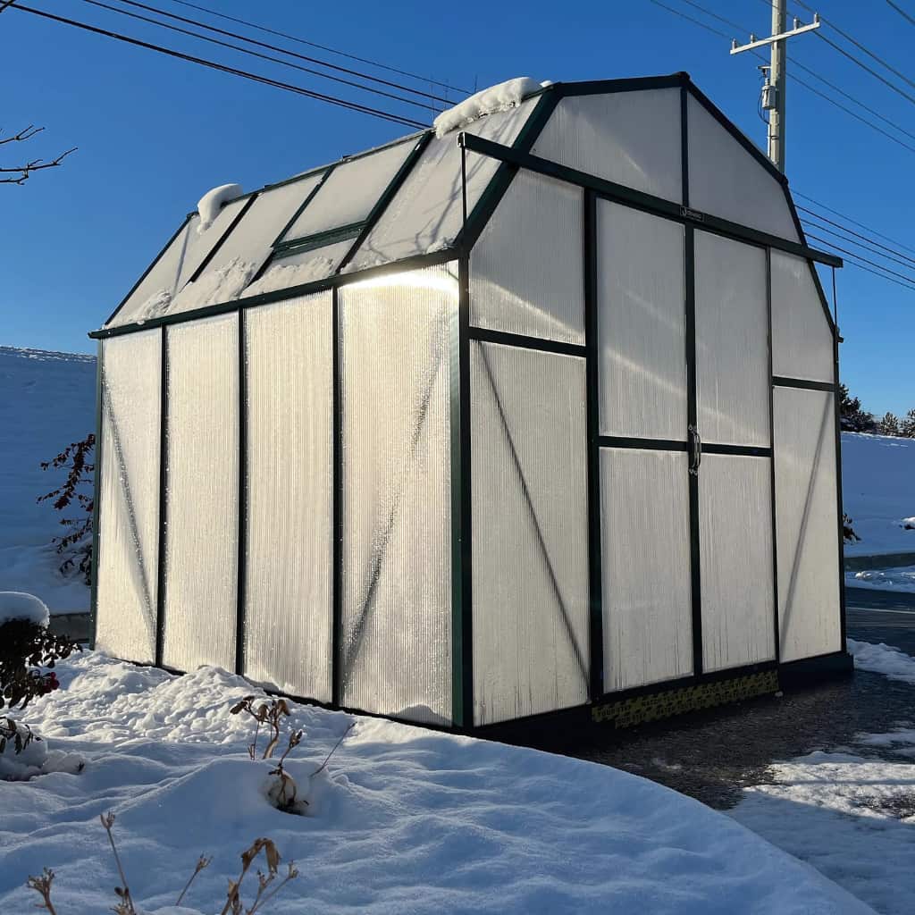 Grandio | Elite 8x8 Greenhouse | ELITE-88