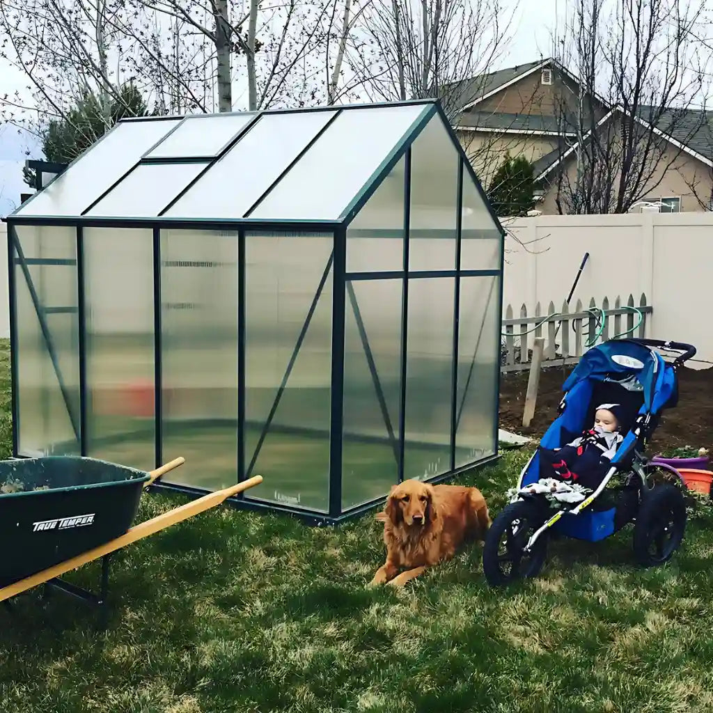 Grandio | Element 6x8 Greenhouse | ELEMENT-68