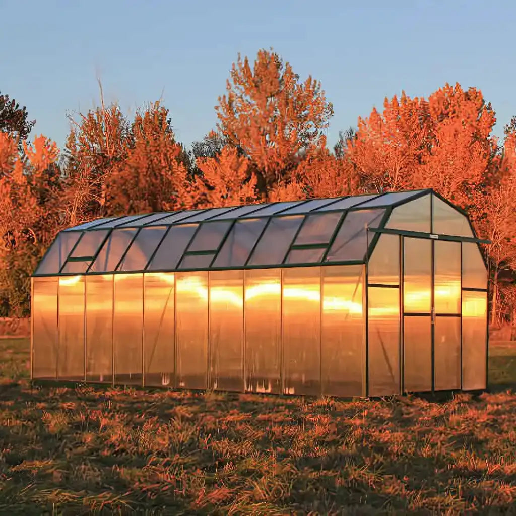 Grandio | Elite 8x20 Greenhouse | ELITE-820