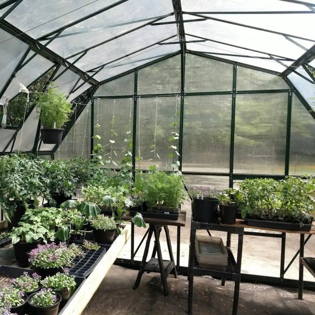 Grandio | Summit 12x28 Greenhouse | SUMMIT-1228