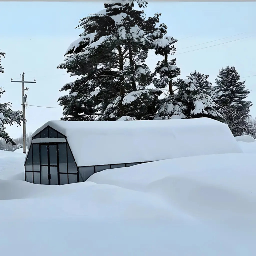 Grandio | Summit 12x24 Greenhouse | SUMMIT-1224