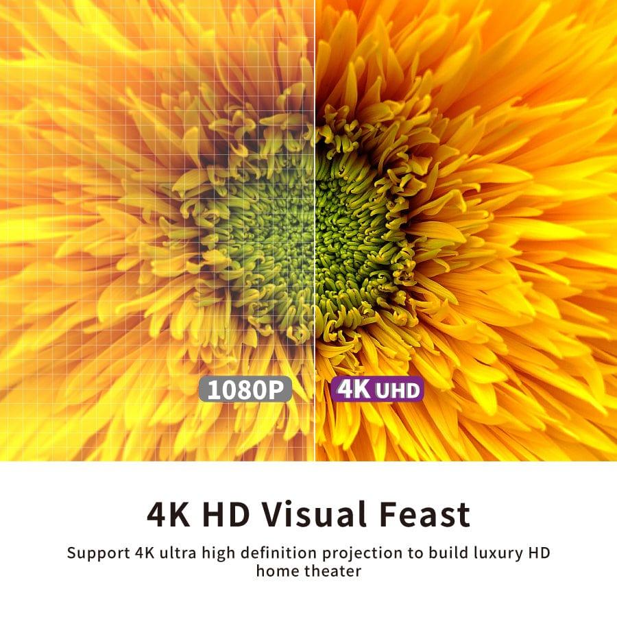 VIVIDSTORM S ALR P Motorized Tension Floor Rising Obsidian Long Throw ALR Perforated Projector screen