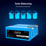 2 X 24V 100Ah LiFePo4 Deep Cycle Lithium Battery Bluetooth / Self-Heating / IP65