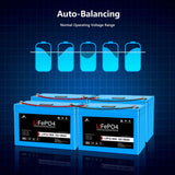 12V 100Ah/ 200Ah LiFePo4 Deep Cycle Lithium Battery Bluetooth / Self-Heating / IP65