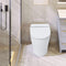 1/1.28 GPF Smart Compact Dual Flush Tankless Toilet Bidet Combo With Self-Cleaning Nozzle And Foot Sensor Flush (SAK58021)