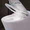 1/1.28 GPF Smart Compact Dual Flush Tankless Toilet Bidet Combo With Self-Cleaning Nozzle And Foot Sensor Flush (SAK58021)