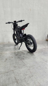 E Ride Pro S:  16" Fat Tire