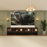 Bundle VIVIDSTORM Nexus Motorized Projector Screen Integrated Shelving Unit & S White Cinema/S ALR Motorized Tension Floor Rising Obsidian Long Throw ALR Projector screen