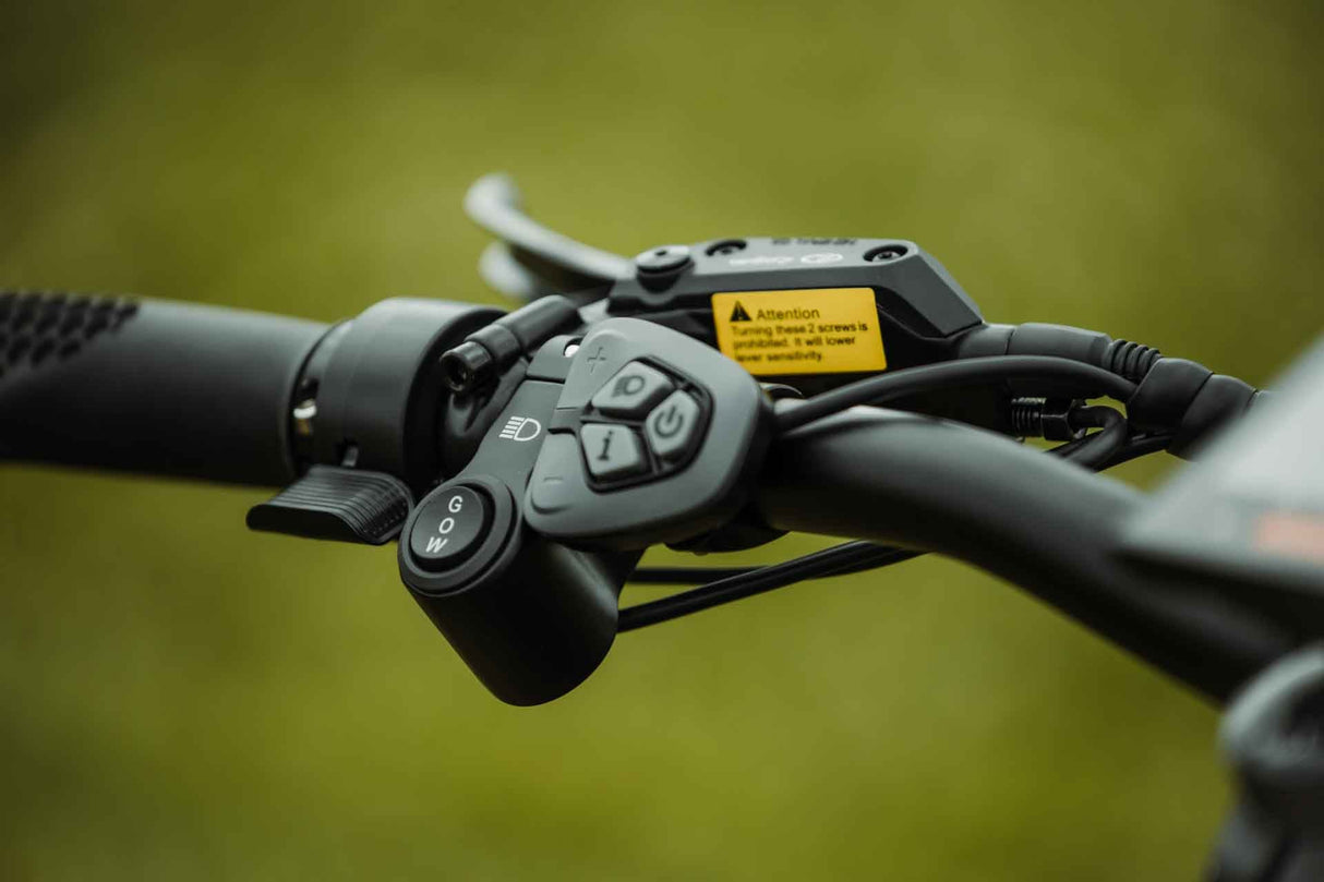 Rebel 2.0 SS (Single Speed)