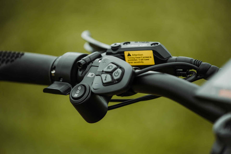 Rebel 2.0 SS (Single Speed)