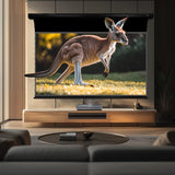 BUNDLE HISENSE LASER CINEMA PX3 PRO TriChroma Laser Cinema Projector & VIVIDSTORM PRO/PRO A/PRO P/PRO PA Slimline Motorized Tension UST ALR Projector Screen