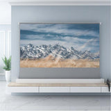 VIVIDSTORM S 3D ALR Motorized Tension Floor Rising 3D Obsidian Long Throw ALR(high gain) Projector screen