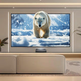 BUNDLE Optoma CinemaX D2 Projector & VIVIDSTORM CineVision Pro Fixed Frame Fresnel UST ALR Projector Screen