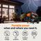 Generac Portable Generator, 8000 | Electric Start with Cord | 49ST