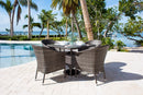 Spectrum 5-Piece Woven Armchair Dining Set with Cushions