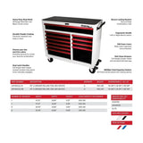 Pro Series | Loaded 45" 19-Drawer Rolling Tool Box | Black and Blue