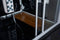 Platinum Catania-R Steam Shower