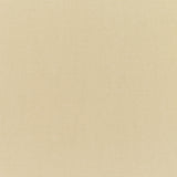 Plastique Lounge Chair w/cushion