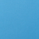 Plastique Lounge Chair w/cushion