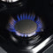 FORNO Massimo 48″ 6.58 cu. ft. Freestanding Dual Fuel Range with 8 Burners, FFSGS6125-48