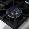 FORNO Massimo 48″ 6.58 cu. ft. Freestanding Gas Range with 8 Burners, FFSGS6239-48