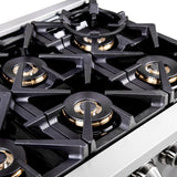 FORNO Capriasca 36" 5.36 cu. ft. Professional Gas Range with French Door and 6 Sealed Burners, FFSGS6460-36