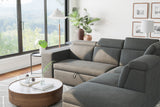 Finn Fabric Sectional Sofa Bed