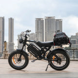HappyRun | G70 48V/38Ah 2000W Electric Cargo Bike | G70