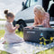 Mini Solar Powered Car Fridge Freezer, 29 Quarts