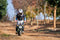 MotoTec | 24V/9Ah 250W Electric Mini Bike | MT-MiniBike-24v-250w_Black