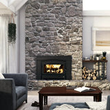 Osburn Matrix 2700 Fireplace Insert
