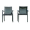 Paris Set of 2 Sling Armchairs - Anthracite