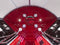 Platinum Superior Steam Shower