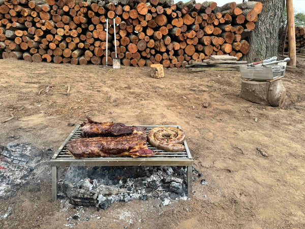 Tagwood BBQ Portable fixed grill BBQ93SS--