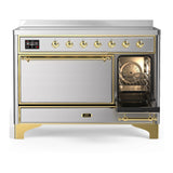 ILVE Majestic III 48-Inch Induction Range with 6 Induction Elements and Solid Door Electric Oven in Stainless Steel with Brass Trim (UMIB48QNR3SSG)