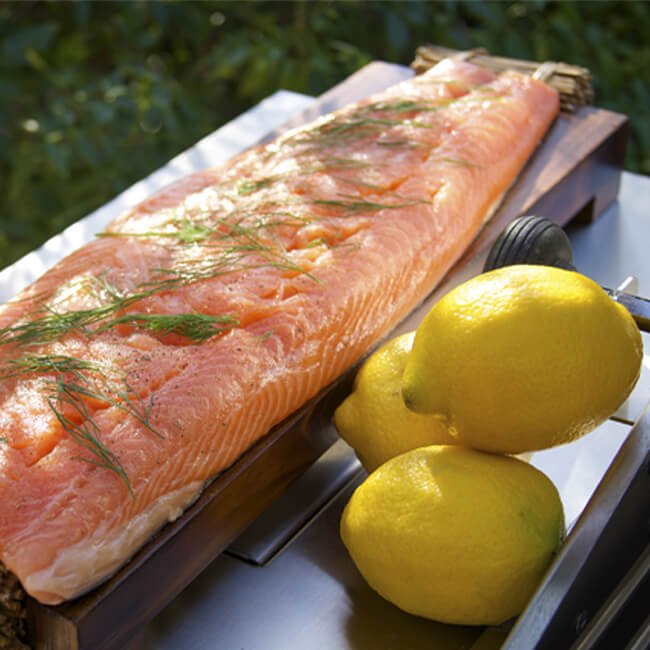 American Outdoor Grill 24NBL-00SP L-Series 2-Burner Built-In Natural Gas Grill, 24" [24NBL-00SP] (SAK10834)