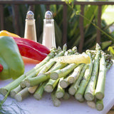 American Outdoor Grill 24NBL L-Series 2-Burner Built-In Natural Gas Grill W/ Rotisserie Kit, 24" [24NBL] (SAK81425)