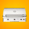 American Outdoor Grill 30NBL L-Series 3-Burner Built-In Natural Gas Grill W/ Rotisserie Kit, 30" [30NBL] (SAK57636)
