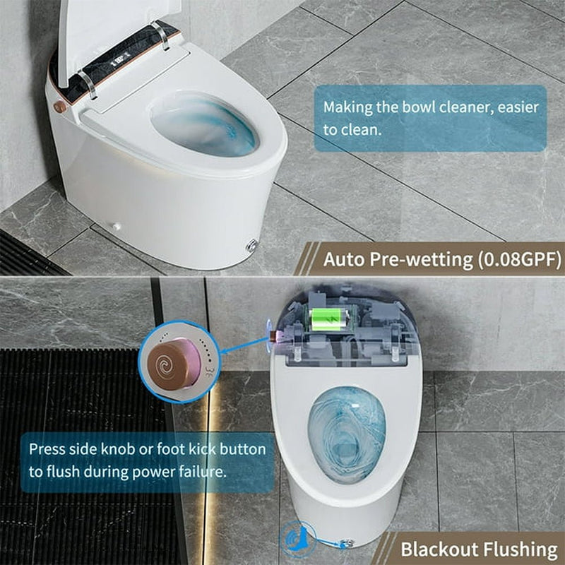 CTDV Premium Smart Tankless Bidet Toilet W/ Adjustable Heated Seat, Water & Air Dryer (96174253)