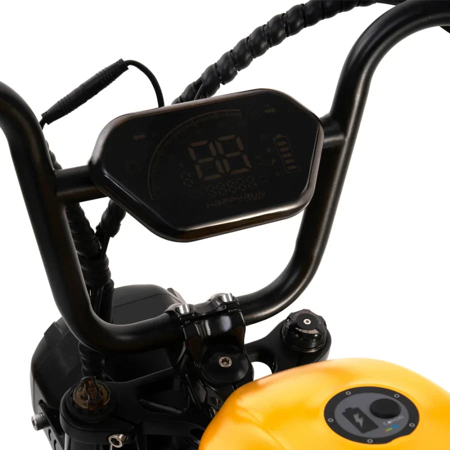 HappyRun | G100 48V/38Ah 2000W Dual Battery Electric Bike | G100