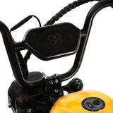 HappyRun | G100 48V/38Ah 2000W Dual Battery Electric Bike | G100