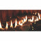 Empire Comfort Systems Boulevard 46K BTU 60" Direct Vent Linear Gas Fireplace With Multi Function Remote  (SAK52915)