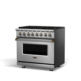 VIKING VDR5366BSP 36" Dual Fuel Range - VDR536 Viking 5 Series Other
