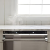 VIKING VDWU724SS 24" Dishwasher w/Installed Professional in Stainless Steel Panel - VDWU724SS in Stainless Steel