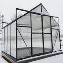 Grandio | Ascent 8x8 Greenhouse | ASCENT-88